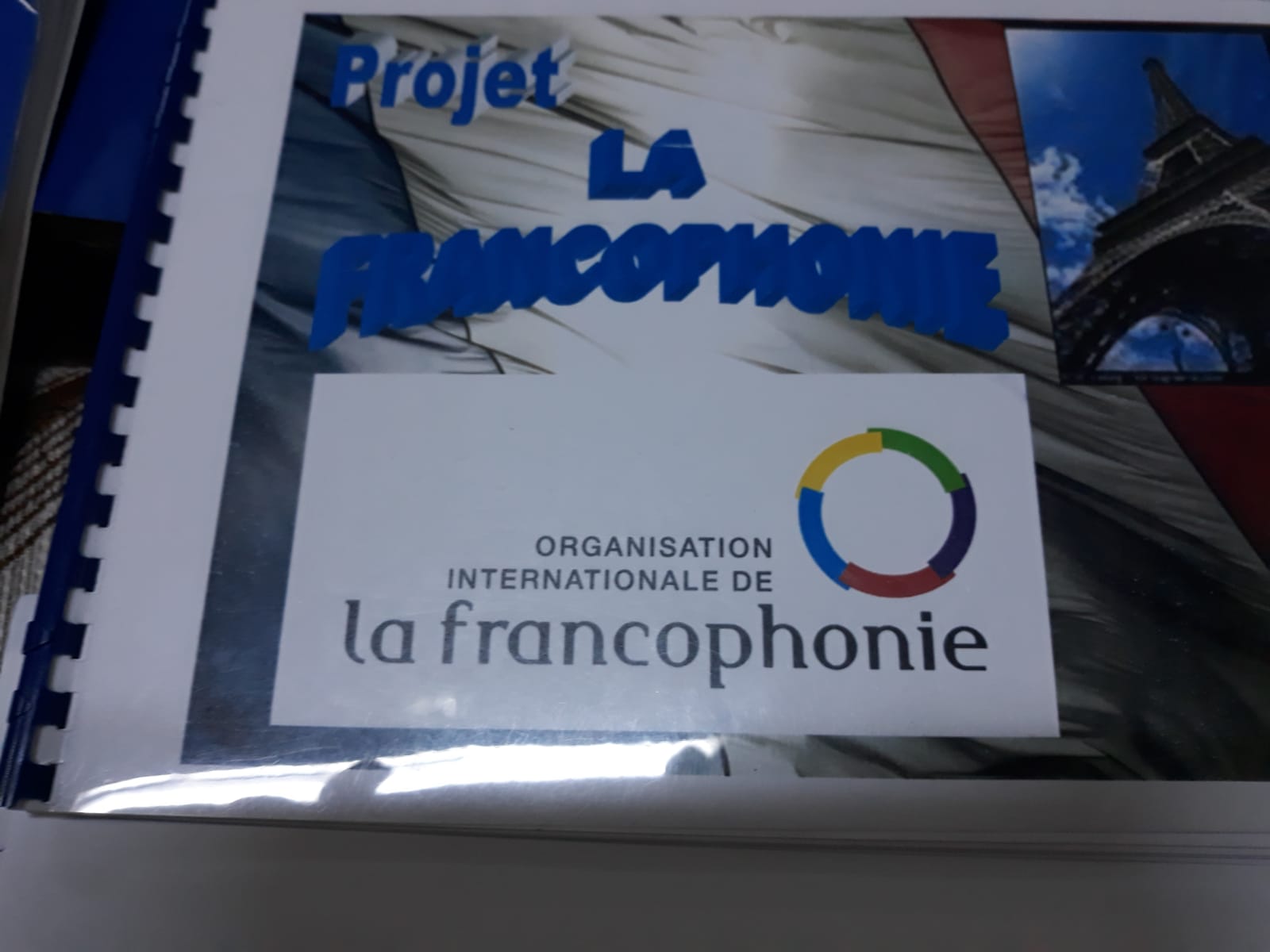 Ziua internațională a francofoniei